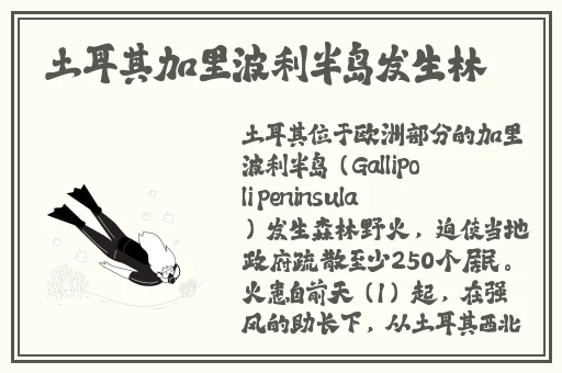 成品大香煮伊区一二三